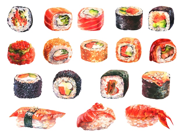 Aquarela desenhada à mão conjunto de sushi e rolos isolados no fundo branco