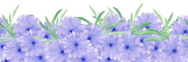 Aquarela desenhada à mão flores de margarida azul borda sem costura isolada em fundo branco Pode ser usada para decoração de fita de rótulo e outros produtos impressos