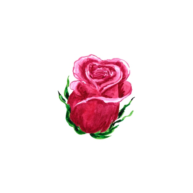 Aquarela desenhada à mão rosa no fundo branco Elementos de design do álbum de recortes Tipografia cartaz convite de casamento rótulo cartão postal banner design