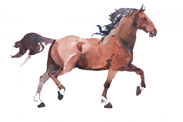 Aquarela, desenho de cavalo de corrida