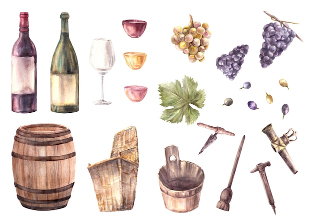 Aquarela para la elaboración de vinos, vasos de botellas con rellenos de vino, barriles de madera, canastas de mimbre, hojas de ramo y