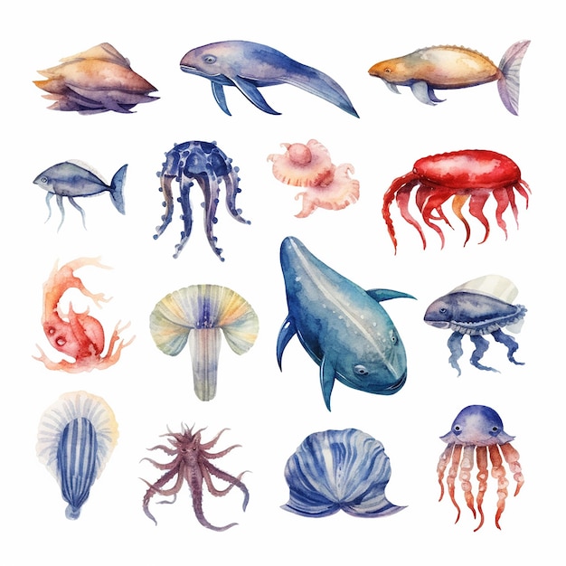 Aquarela estética Ilustração da vida oceânica