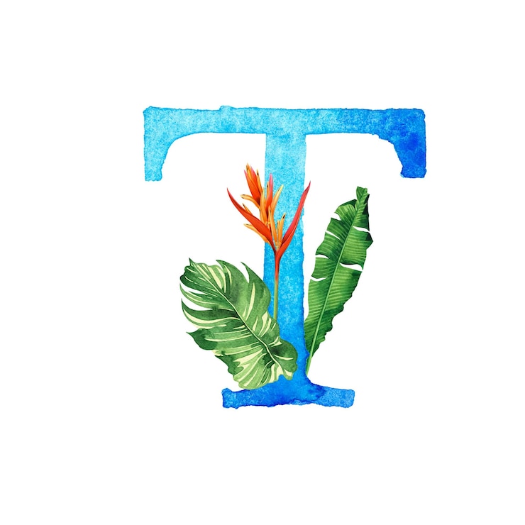 Foto aquarela floral com tipografia de alfabeto t de folhas
