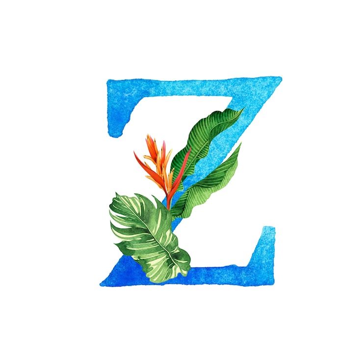 Foto aquarela floral com tipografia de alfabeto z de folhas