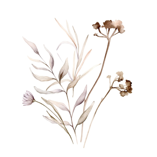 Aquarela floral delicado pastel vintage verde violeta púrpura marrón ramo dibujado a mano ilustración aislada sobre fondo blanco Composición de flores y hojas para estacionario o textil