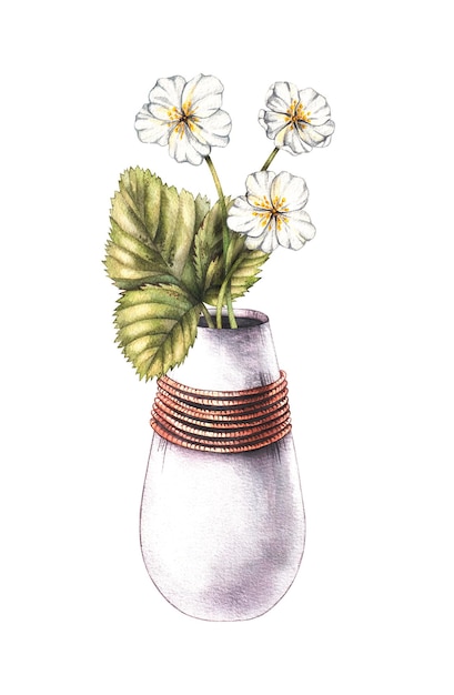 Foto aquarela flores brancas de bagas em um vaso em um fundo branco