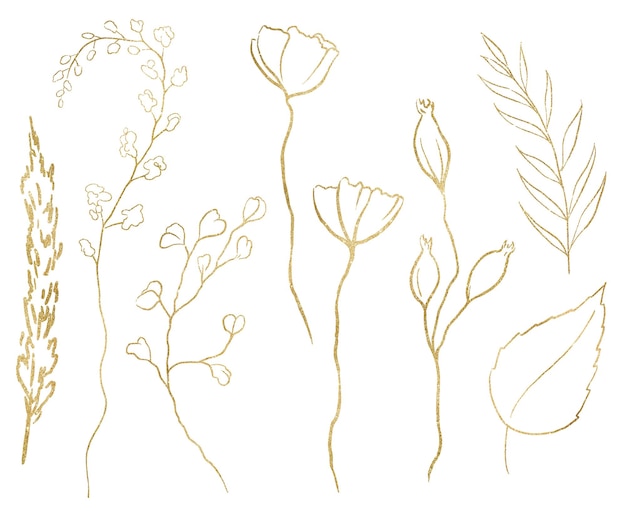 Aquarela flores silvestres contornos dourados ilustração isolada elemento de papel de casamento