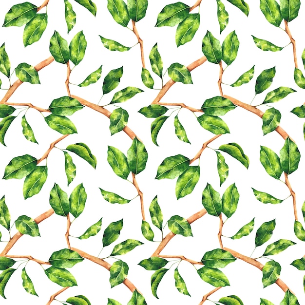 Aquarela folhas verdes e ramos padrão sem emenda brilhante botânica repetição impressão