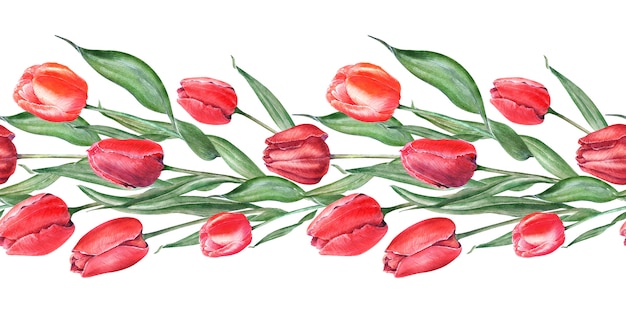 Aquarela fronteira sem costura com tulipas vermelhas elegantes. Botões, flores e folhas