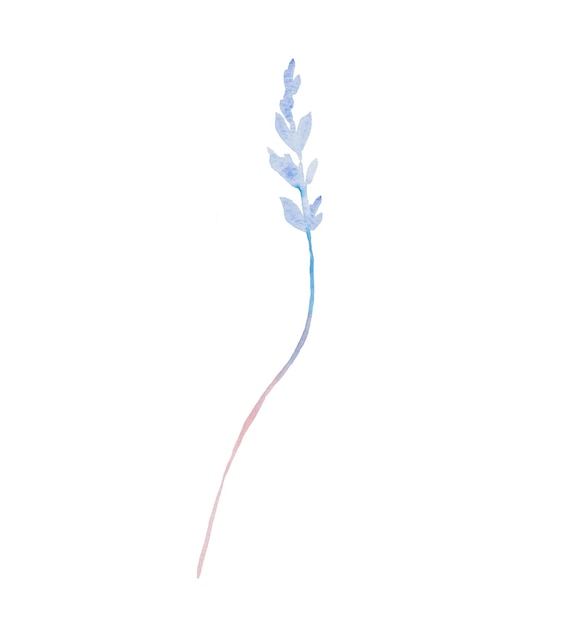Aquarela galho azul com folhas isoladas ilustração elemento de casamento pastel