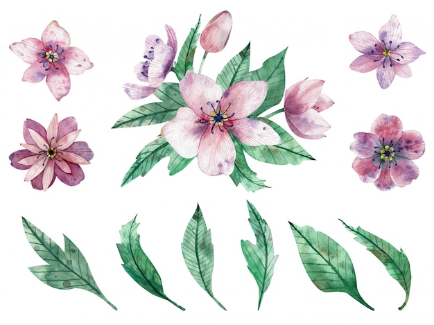 Aquarela ilustração de composições de flores-de-rosa e elementos