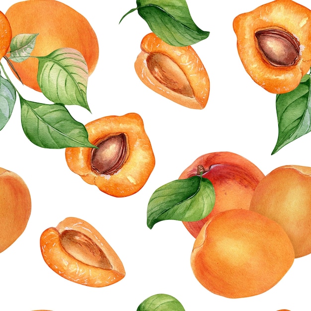 Aquarela inteira e segmento damascos sem costura padrão isolado em branco laranja frutas ilustração pêssego folhas nectarina mão desenhada elemento de design para pacote embrulho fundo têxtil