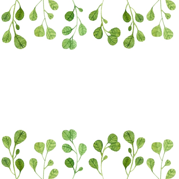 Aquarela isolada borda de folha desenhada à mão motivo floral listra ornamental folhas plantas galhos