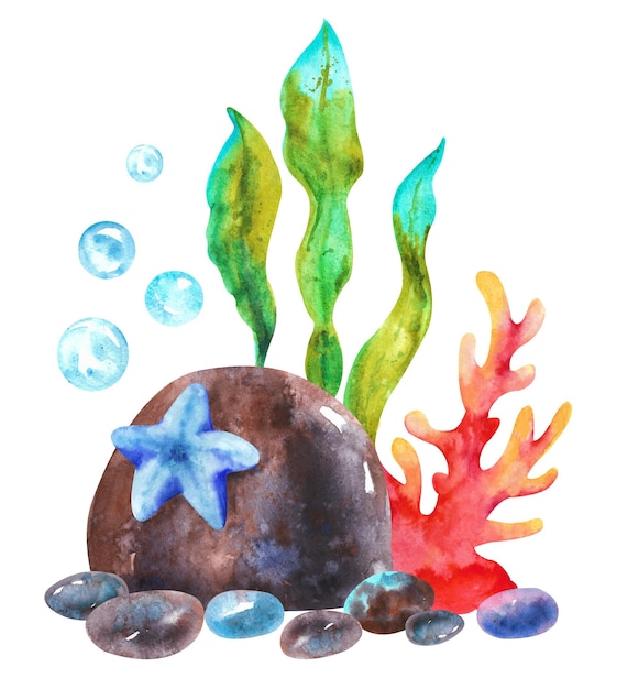 Aquarela mundo subaquático Fundo do mar com algas de pedra e estrela do mar