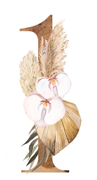 Aquarela número 1 com flores tropicais e de algodão folhas de palmeira secas e grama dos pampas ilustração boêmia número um Elemento bege para design e artesanato de casamento