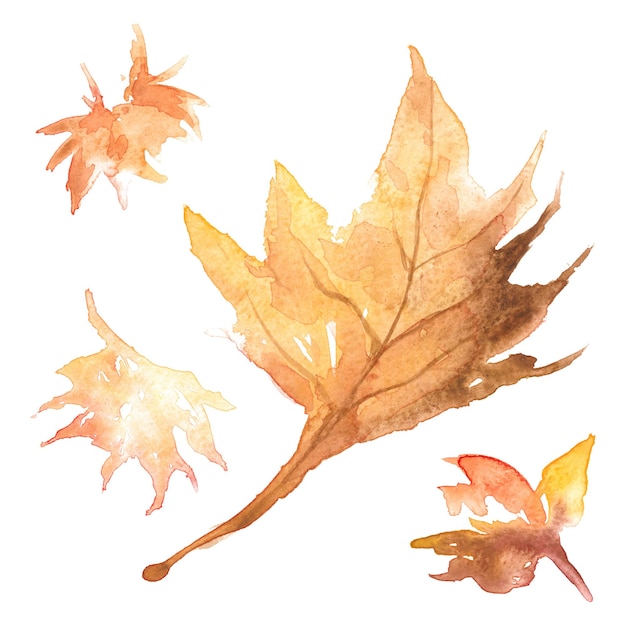 Aquarela de otoño de hoja de arce png en gráfico estacional naranja