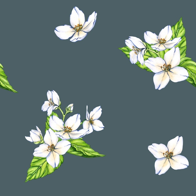 Aquarela patrón sin costuras de flores y ramas jazmín aislado en un fondo azul Ilustración floral para el diseño de tarjetas de felicitación invitaciones de boda envases de cosméticos naturales y té