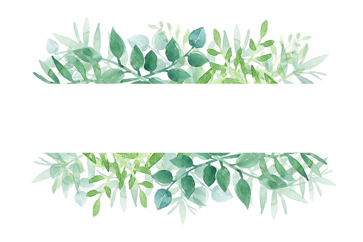Foto aquarela pintada à mão com folhas verdes em branco