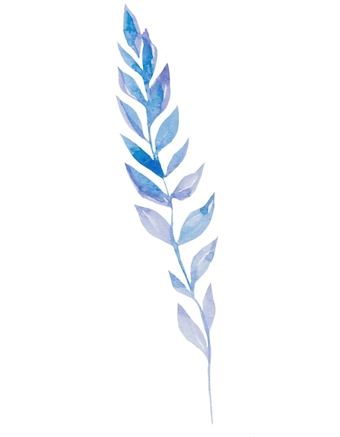 Aquarela ramita azul con hojas aisladas ilustración elemento de boda pastel