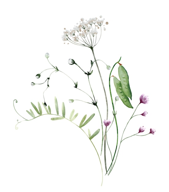 Aquarela Roca de flores silvestres y hojas Ilustración botánica para invitaciones y redes sociales