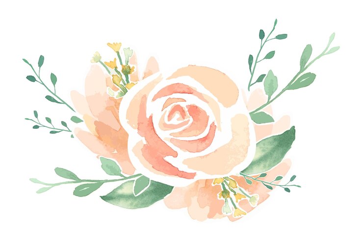 Foto aquarela rosa png fundo transparente