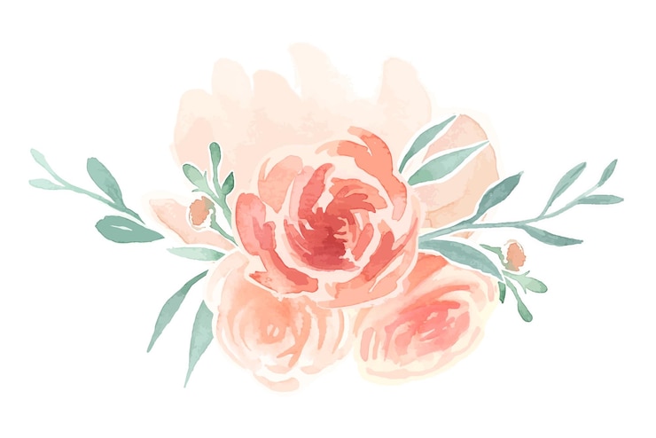 Foto aquarela rosa png fundo transparente