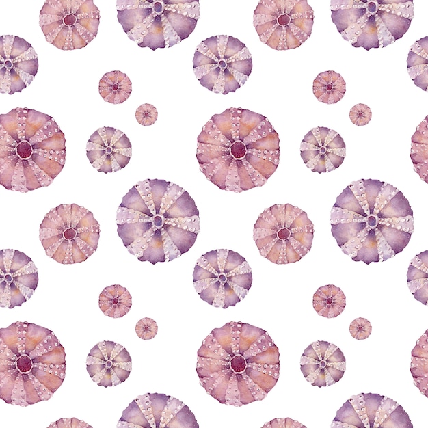 Aquarela rosa redondo conchas do mar