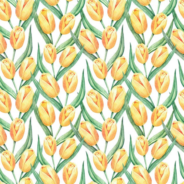 Aquarela sem costura padrão floral com grandes flores de tulipa amarela