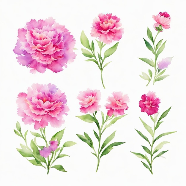 Aquarelas florescem flores cativantes de cores vivas