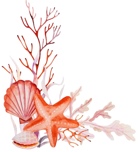 Aquarell-Arrangement aus Algen, Muscheln, Korallen und Seesternen isoliert Unterwasserblumenstrauß Illustration für Grußkarten, Sommer, Strand, Hochzeitseinladungen, Basteln, Drucken