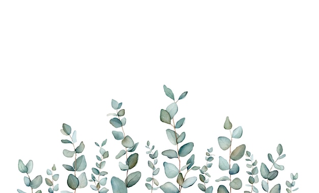 Aquarell-Banner mit grünen Eukalyptusblättern ZweigeAquarell-Eukalyptus im Blumenstrauß für die Hochzeit Dekoratives Element für die Grußkarte Illustration