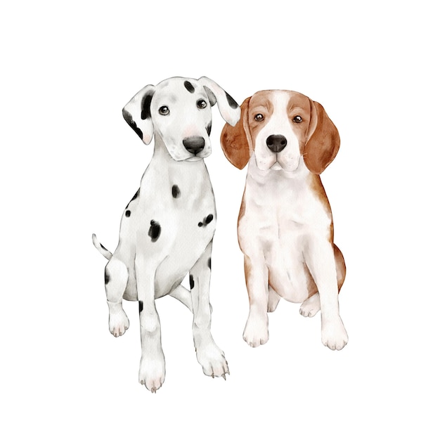 Foto aquarell-beagle und dalmatiner-hunde handgezeichnete illustration von niedlichen haustieren isolierte clipart