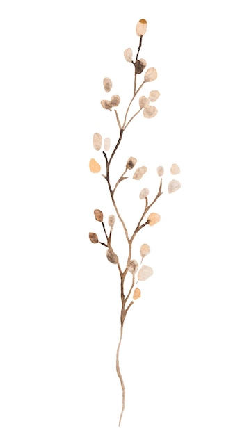 Aquarell beige Wildblumen isolierte Illustration Garten Blumenelement für Boho Herbst Hochzeitsbriefe und Grußkarten