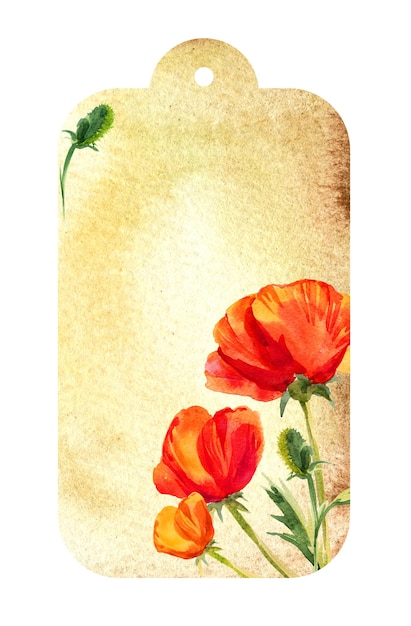 Aquarell beiges Etikett mit Mohnblumen rote Sommerblumen alte Papierstruktur handgezeichnete Skizze