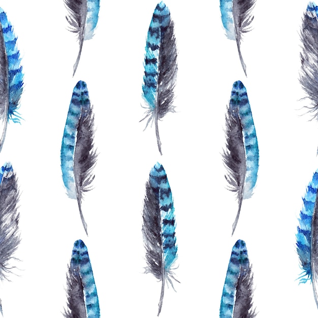 Foto aquarell blue jay feder musterdesign hintergrund