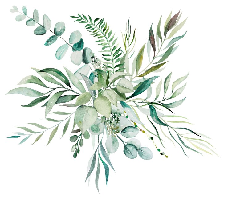 Foto aquarell botanische blätterstraußillustration lokalisiert