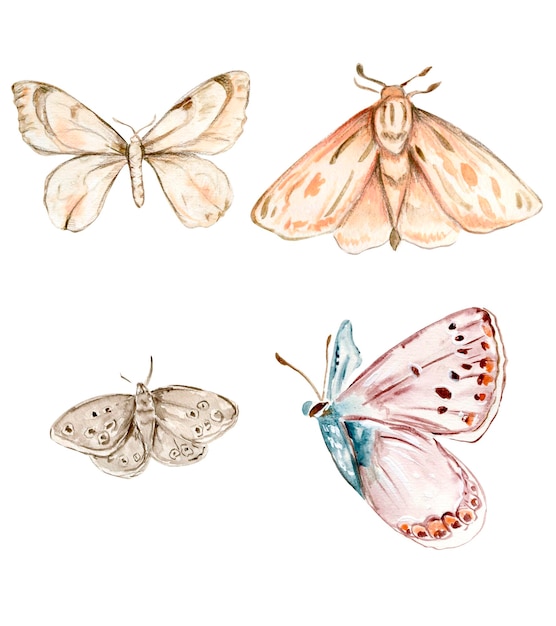 Aquarell bunte Schmetterlinge, isoliert auf weißem Hintergrund. Frühlingsabbildung Monarch Bu