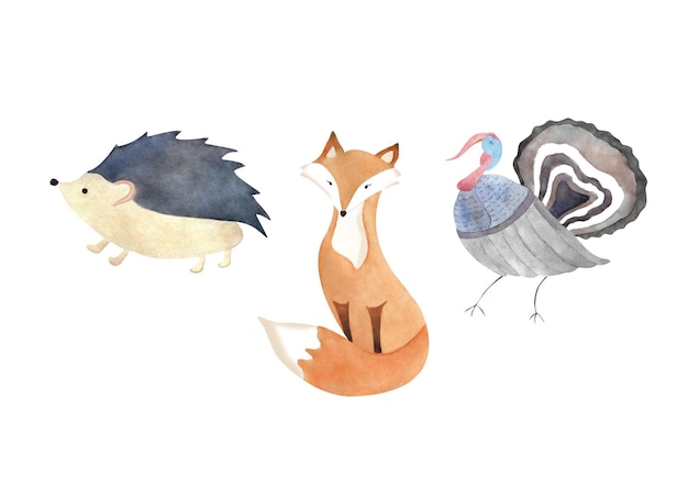 Aquarell-Cartoon-Tieren-Set Schöne Fuchs Türkei Vogel Igel Für Baby-Design Kinder-Scrapbook-Dekoration