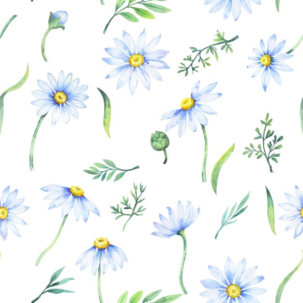 Foto aquarell daisies nahtloses muster mit aquarell kamille blumen und blütenblätter blumenmuster mit daisies wildblumen sommerdruck