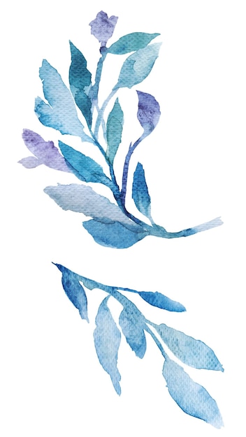 Aquarell-Design-Element der Zweige durchsichtig png