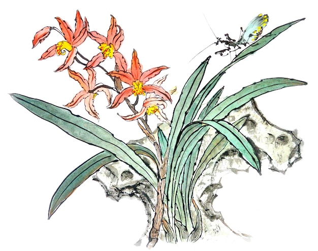 Aquarell einer blühenden Orchideenblume isoliert auf weißem Hintergrund