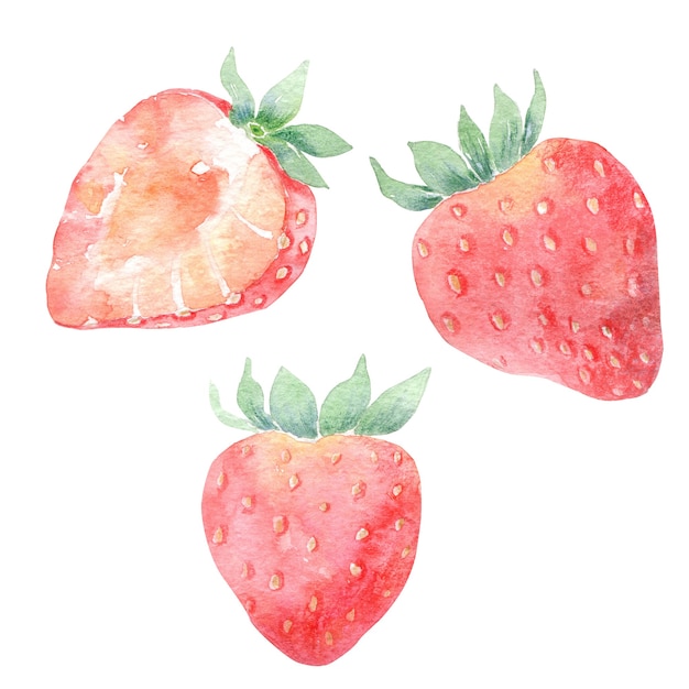 Aquarell Erdbeeren