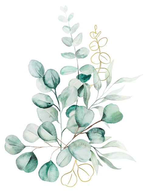 Aquarell Eukaliptus Blätter Bouquet