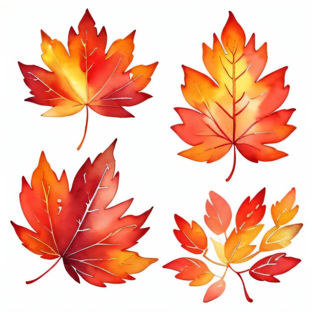 Aquarell-Fallblätter Clipart