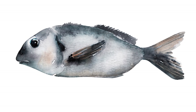 Aquarell Fisch