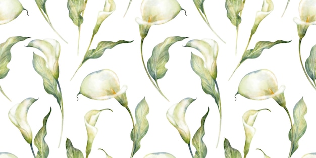 Aquarell florales nahtloses Muster mit blühenden weißen Calla-Lilienblumenblatt auf weißem Hintergrund