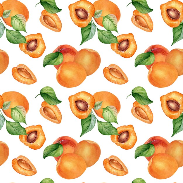 Aquarell ganze und Segmente Aprikosen nahtloses Muster isoliert auf weiß Orange Früchte Illustration Pfirsichblätter Nektarine von Hand gezeichnet Designelement für Paketverpackung textiler Hintergrund