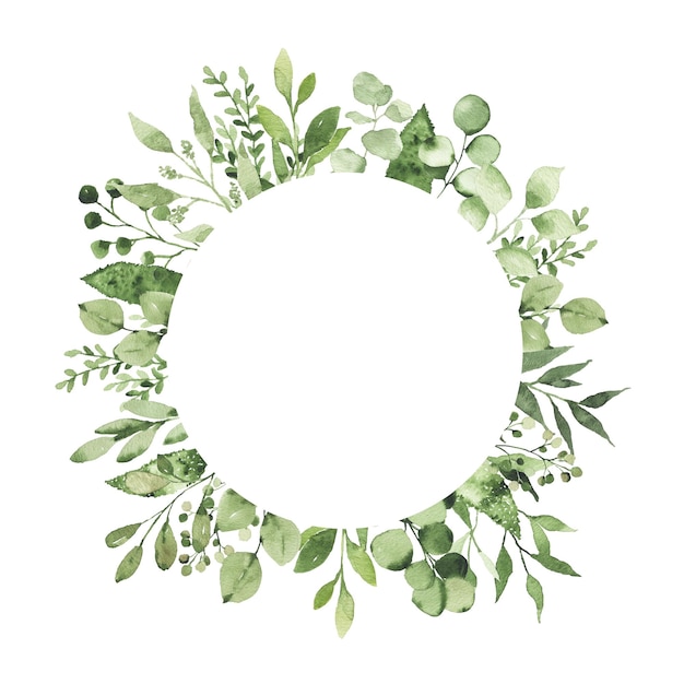 Aquarell geometrischer runder Rahmen mit grünen Blättern Zweig Zweig Pflanze Kräuterflora isoliert