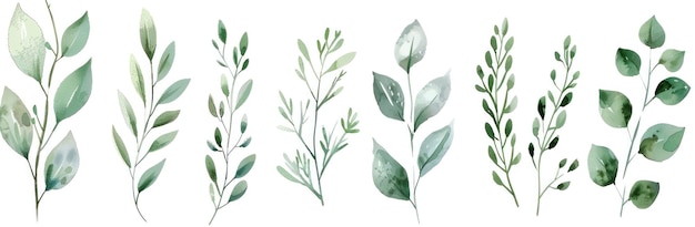 Aquarell-grüne Blätterkollektion auf weißem Hintergrund in verschiedenen Formen und Größen für die Design-Nutzung
