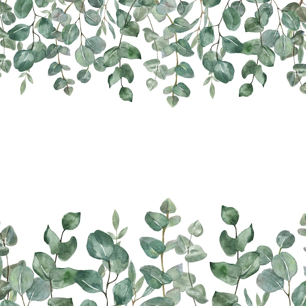 Aquarell-grüne Eukalyptusblatt-Bannerkarte für Karten, Hochzeits-Einladungen und Plakate
